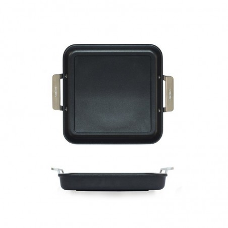 PLANCHA INCLINADA AIRE 23 CM, CON ASAS